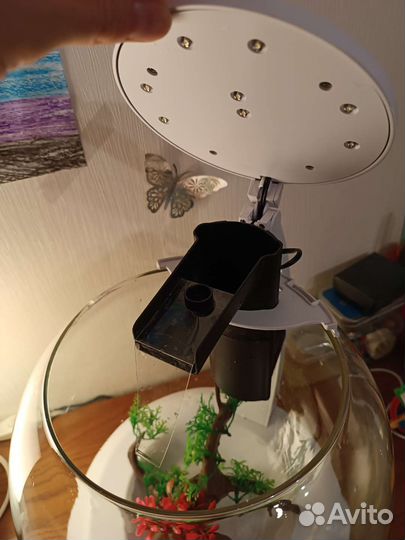 Аквариум круглый с подсветкой