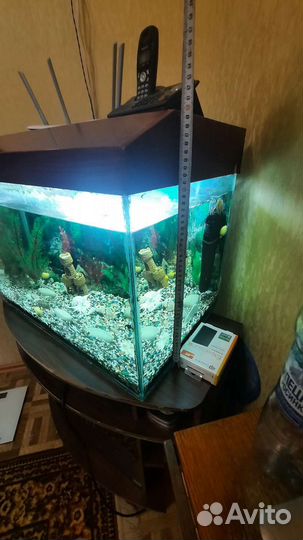 Аквариум