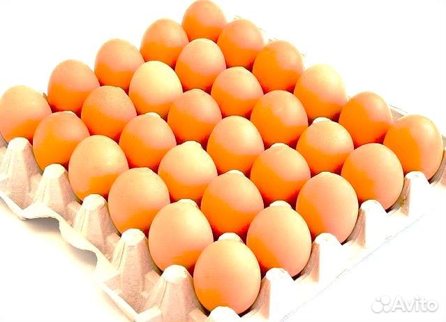 Яйцо куриное