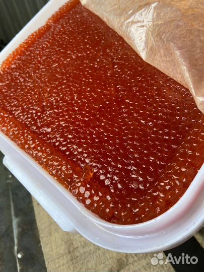 Икра горбуши, Камчатка, Икра