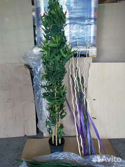 Декоративные кустарники