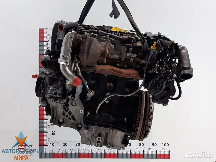 Форсунка Opel Insignia (A) 2010 55566050