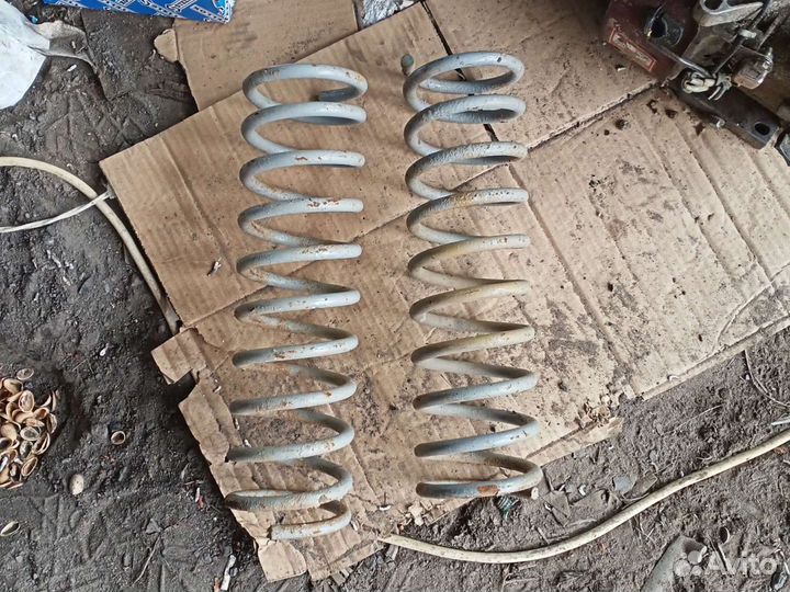 Пружины Ока задние