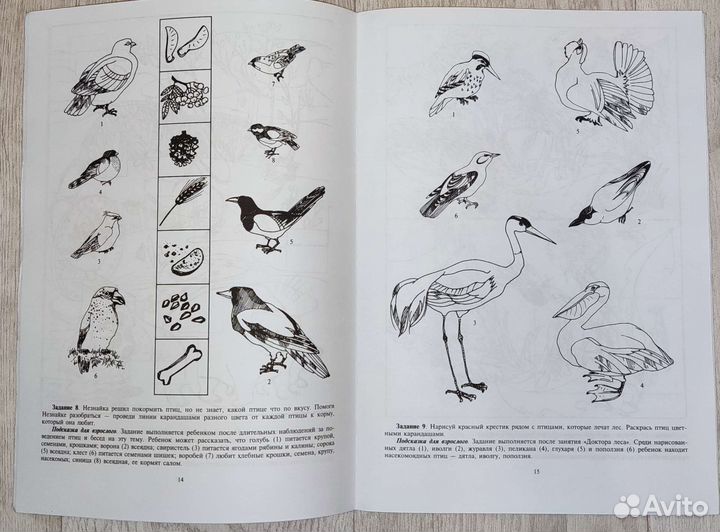 Добро пожаловать в экологию 5-6 лет Воронкевич