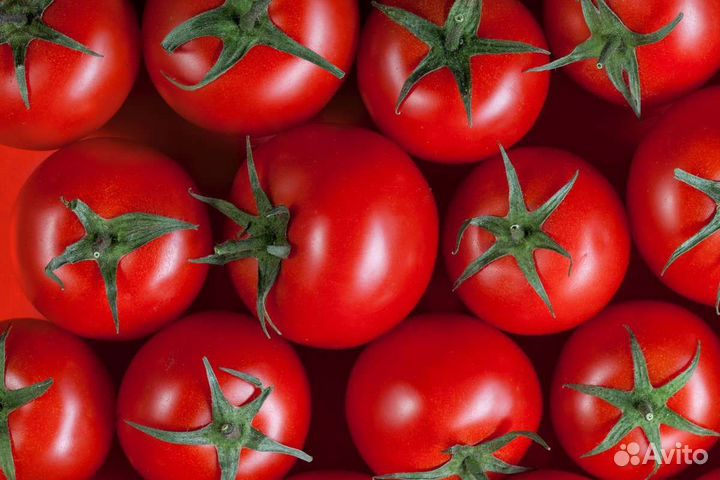 Продам помидоры, баклажан, виноград