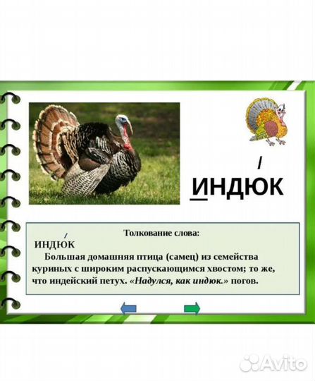 Мясо индюков
