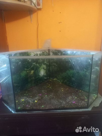 Аквариум 150 л