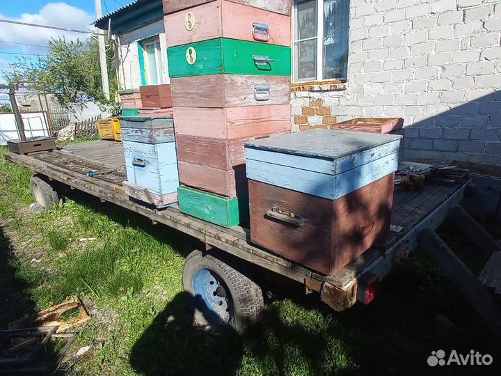 Прицеп платформа для перевозки пчел