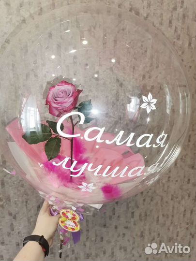 Живая роза в шаре