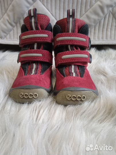 Продам детские ботинки Ecco