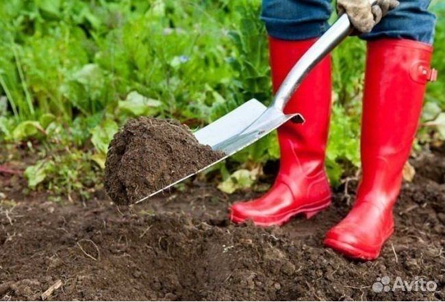 Чернозём, Грунт