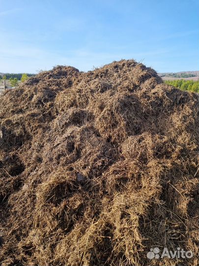Продам навоз коровий