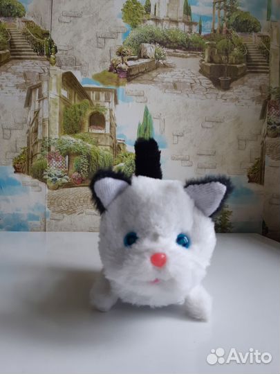 Интерактивный котенок