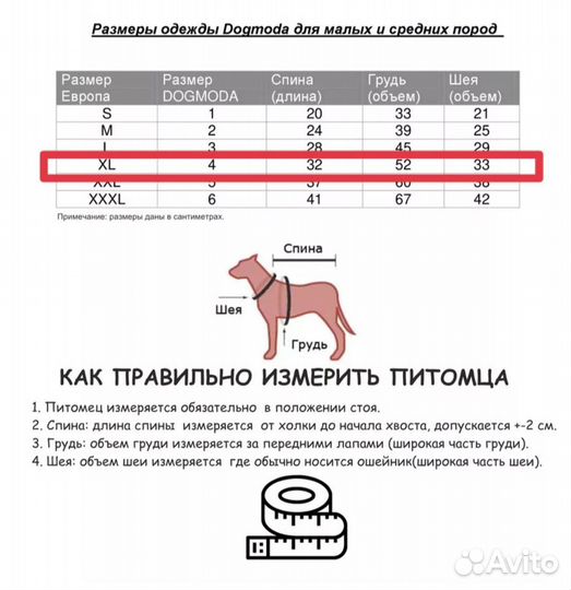 Одежда для собак мелких пород