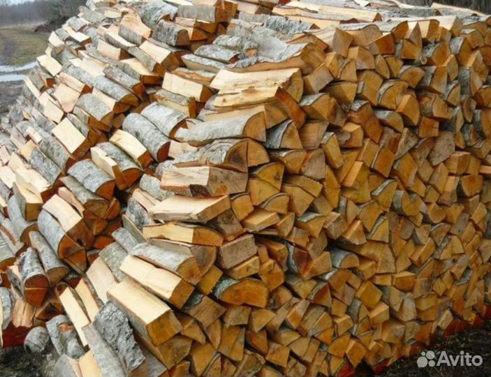 Дрова осина