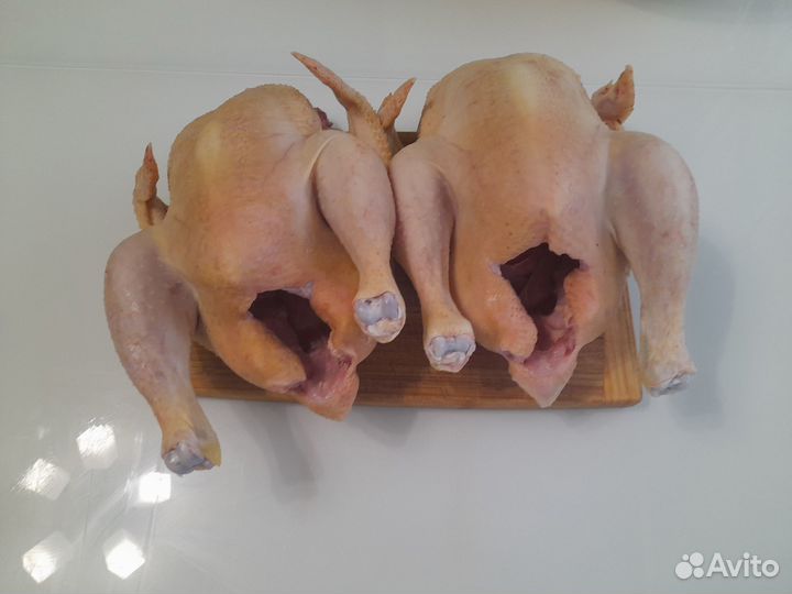 Мясо домашнего бройлера