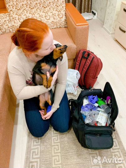 Ветеринарный врач для птиц, грызунов и рептилий