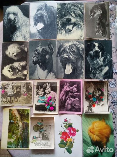 Открытки советские СССР почтовые карточки 60шт