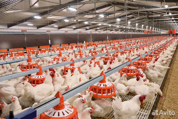 Рабочий по подготовке корпусов