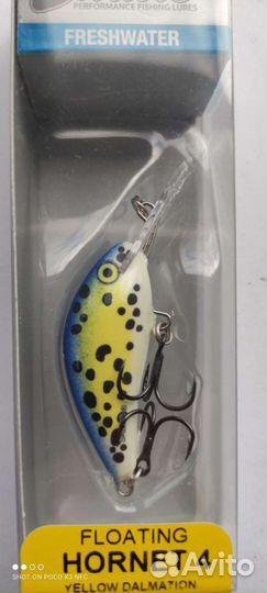 Salmo hornet 4F-rbgt/YD