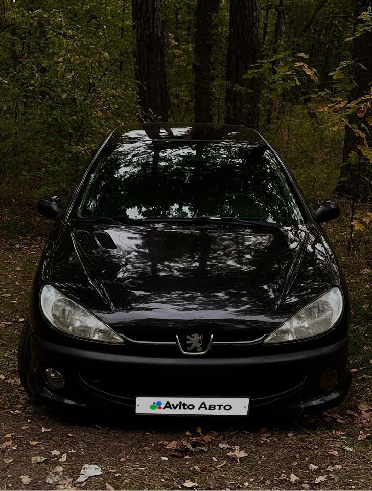 Peugeot 206: фото из отзыва
