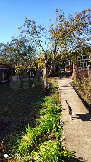 Дом 86 м² на участке 13 сот.