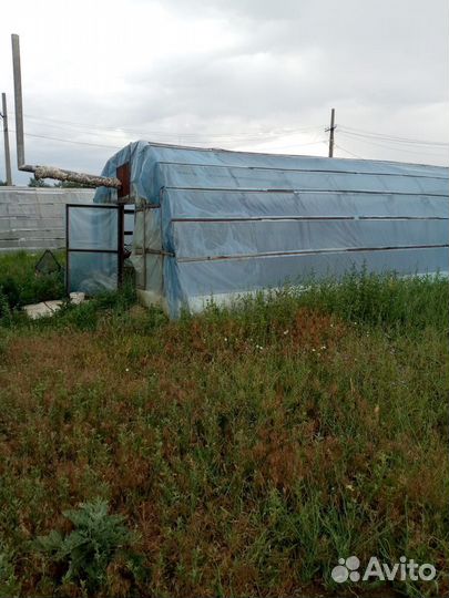 Аренда теплиц и животноводческой фермы