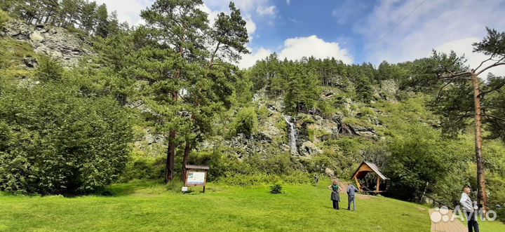 Отзыв об Алтае