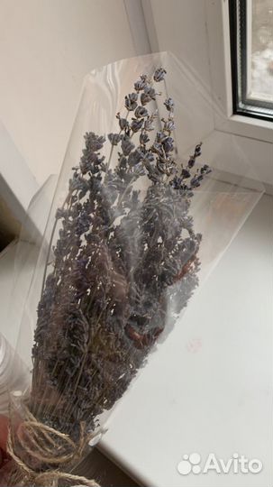 Лаванда(сухоцвет)