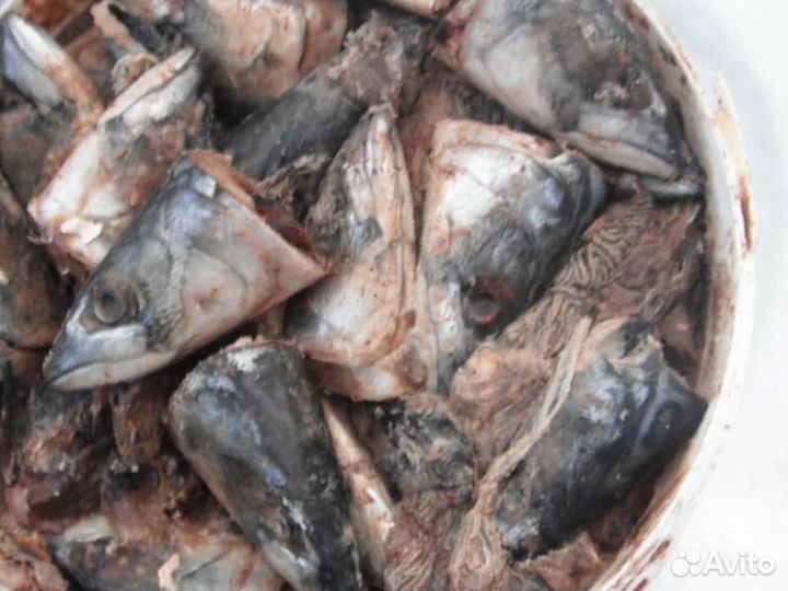 Рыбные отходы