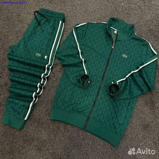 Спортивный костюм lacoste (Арт.42645)