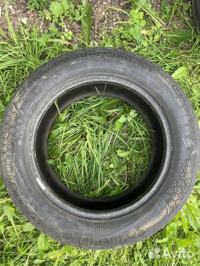 Continental ContiWinterContact TS 790 205/60 R16