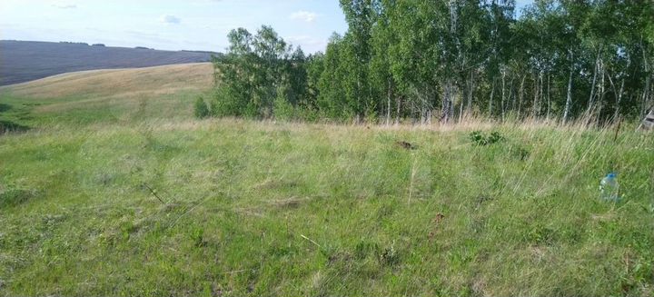 Участок 30 сот. (СНТ, ДНП)