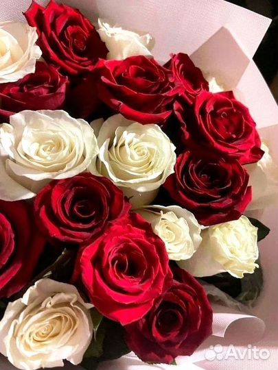 Розы премиум