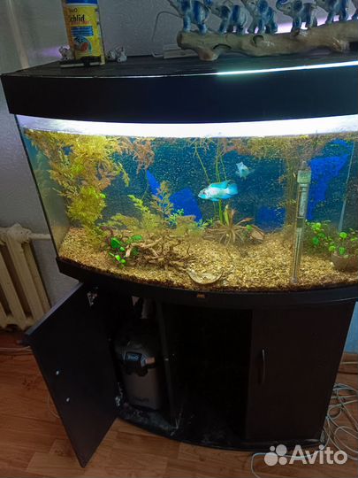 Аквариум с тумбой