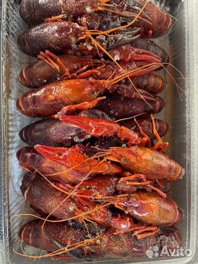 Раки вареные, креветки, лангустины