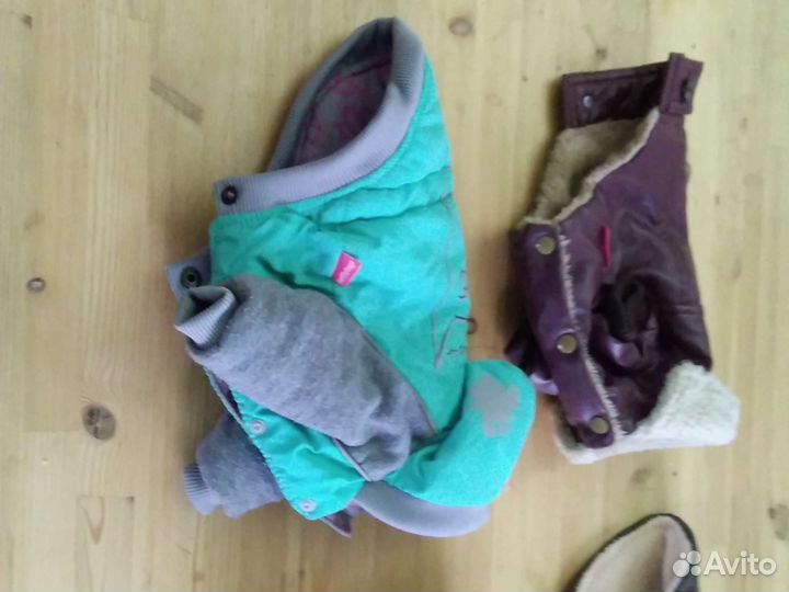 Одежда для маленьких собак