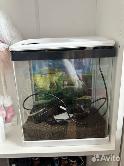 Аквариум