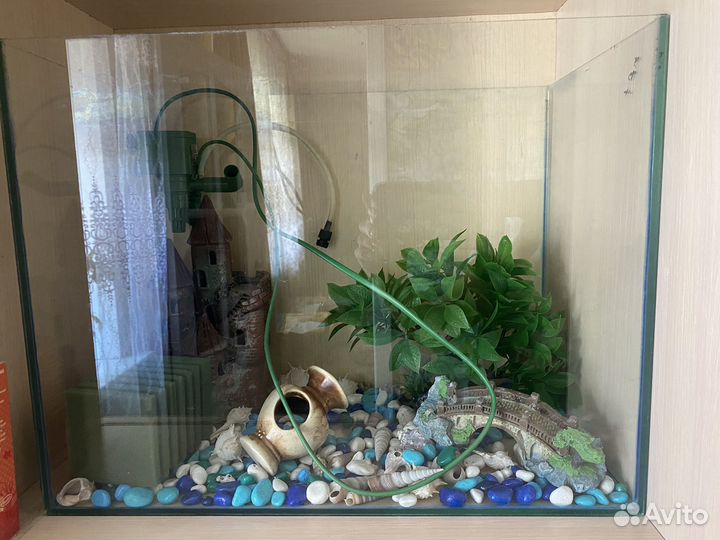 Аквариум