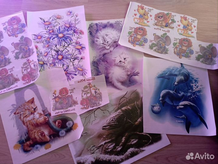 Термонаклейки на одежду