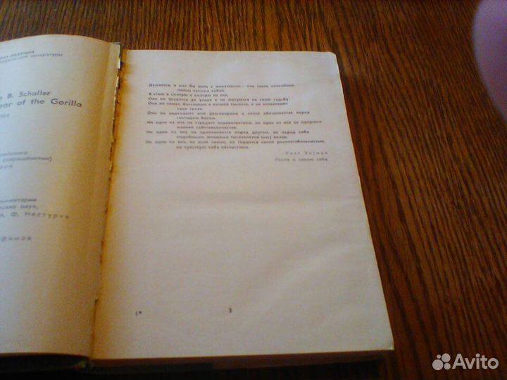 Шаллер. Год под знаком гориллы.1968 год