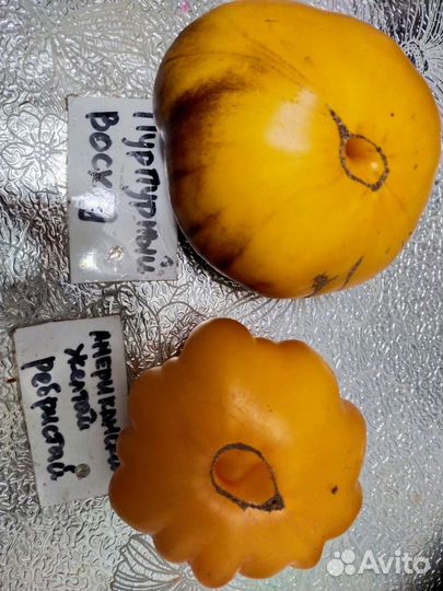 Семена сортовых томатов