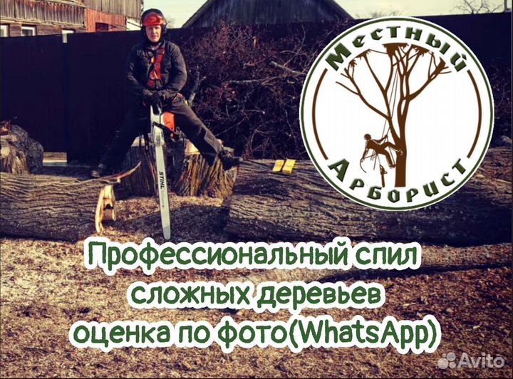 Спил деревьев