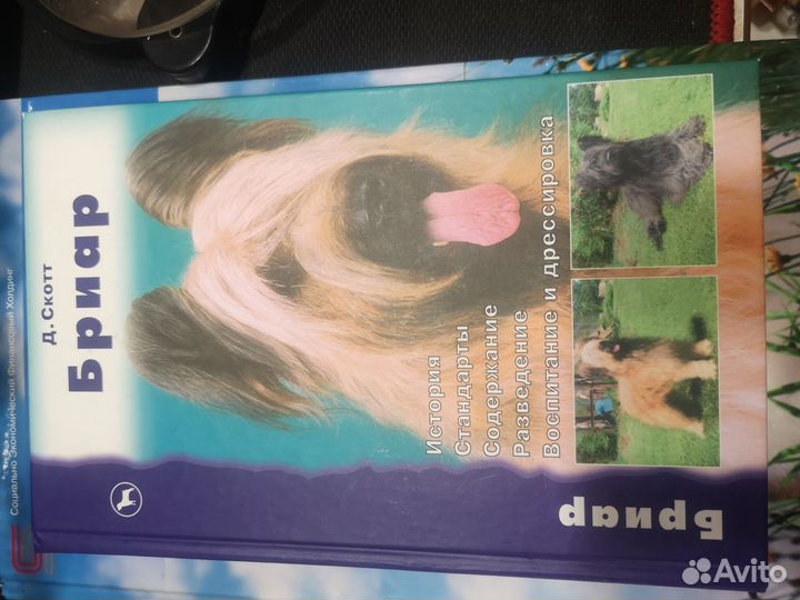 Книга бриар