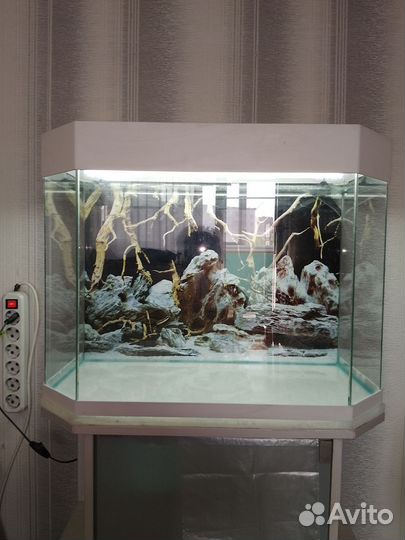 Аквариум