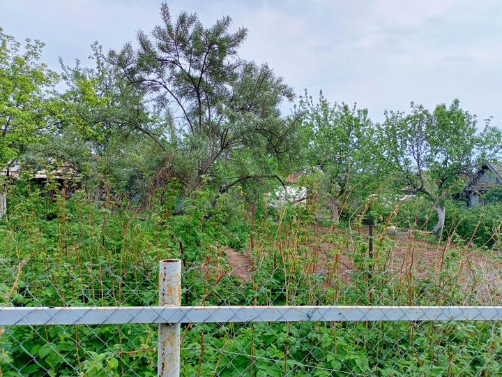 Участок 6 сот. (СНТ, ДНП)