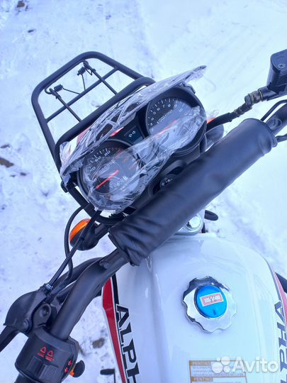 Новый мопед Alpha RS Forester