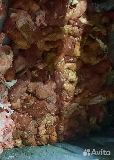 Корм для собак