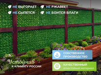 Зеленый забор - изгор�одь / Сетка рабица / Россия