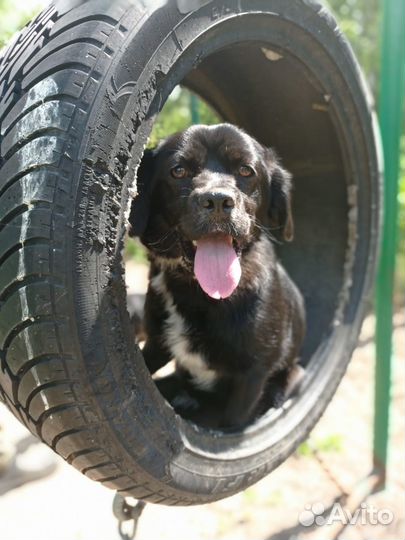 Девочка Боня, 1 год